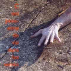 Forest And Desert - Maud B. MiAoUDa Lou.K Zarba - 2022-2023 - Tout Droit Réservé