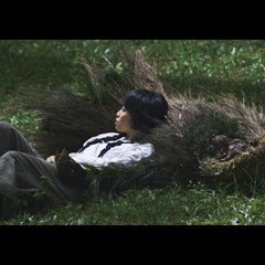 TÙNG  - Rừng Thông