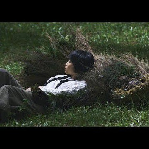 TÙNG  - Rừng Thông