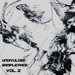 Undivulged Sample Pack Vol. 2 Demo Track (exclusive)