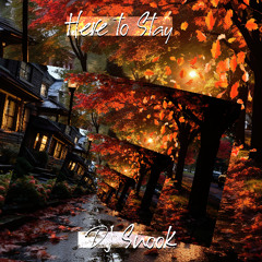 Dj Snook - Here to Stay (Radio Edit)
