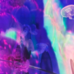33 - Sped Up