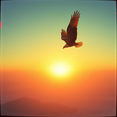 Wings of My Heart