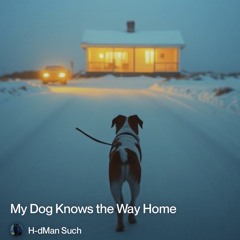 My Dog knows the Way Home.