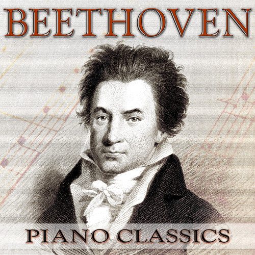 Piano Sonata No. 27 in E minor, Op. 90, II. Nicht zu geschwind