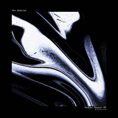 PREMIERE: Vkn.modular - Lonely Journey