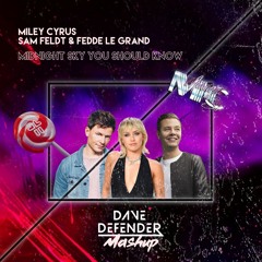 Miley Cyrus vs Sam Feldt & Fedde Le Grand - Midnight Sky You Should Know (Dave Defender Mashup)