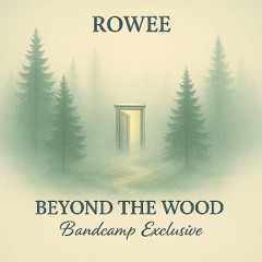Beyond The Woods (Original Mix) [BANDCAMP EXCLUSIVE]