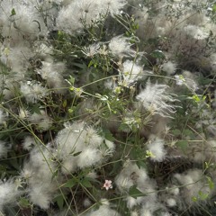 10.29.25_downthehall.wav