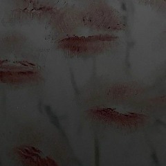 KHÔNG KỊP NÓI LỜI XIN LỖI  SILVER SMOKE REMIX  VIOLIN REMIX