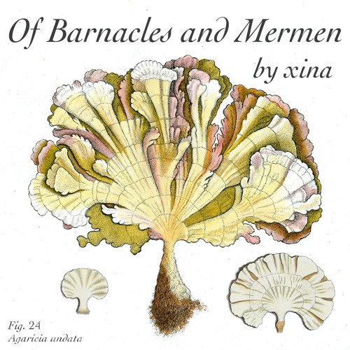 Of Barnacles and Mermen