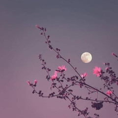 CHANEL - Frank Ocean (Cover)