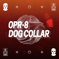 Dog Collar