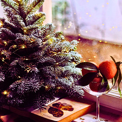 01 REC-2025-12-20 ro popular frequent  -5