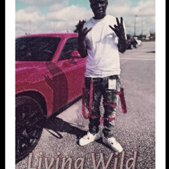 BagChasin (Living Wild Tape)