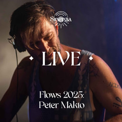 Peter Makto @Flows Festival 2025 (Croatia - Video on Youtube)
