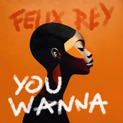 Felix Rey - You Wanna (Extended Mix)