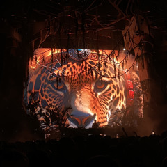 Tiësto - Lethal Industry (Rose Ringed Remix).mp3
