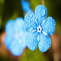 Life Droplet