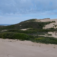 Echo Des Dunes  -  Stereo Mix