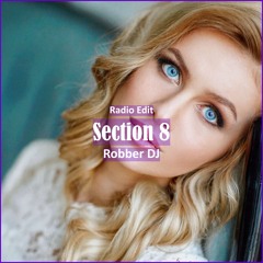 Robber Dj - Section 8 [ Car Music & G-House Music]