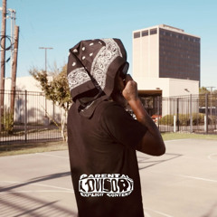 Southside da realest (Sebbaxo & Facufernandez) (Music video in desc)