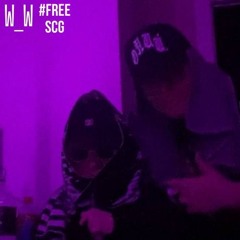 TWINZ WW/scallsee