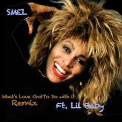 Tina Turner, Lil Baby What's Love Got To Do With It SMEL Remix