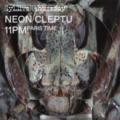 Neon Cleptu 13 → Timnah Sommerfeldt