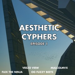 Aesthetic Cyphers : Episode 1 (FLEX THE NINJA , VEEZO VIEW , OG FUZZY BEETS,MALCOLMVX)