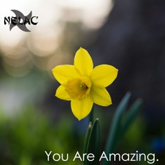 You Are Amazing.