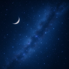 The Night