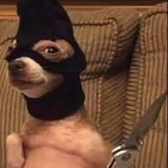 星光大盜(thief remix)