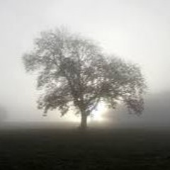 Misty Step