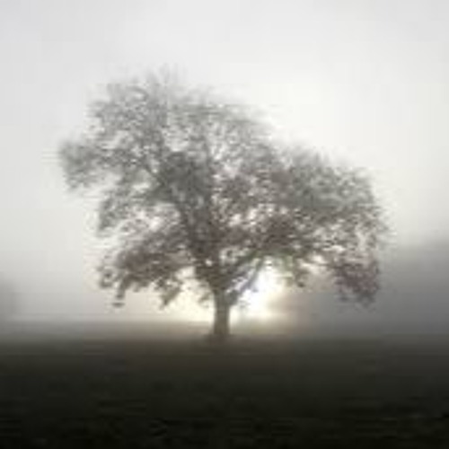 Misty Step
