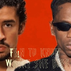 Fe!n To Know Where She Goes (Pitched).mp3