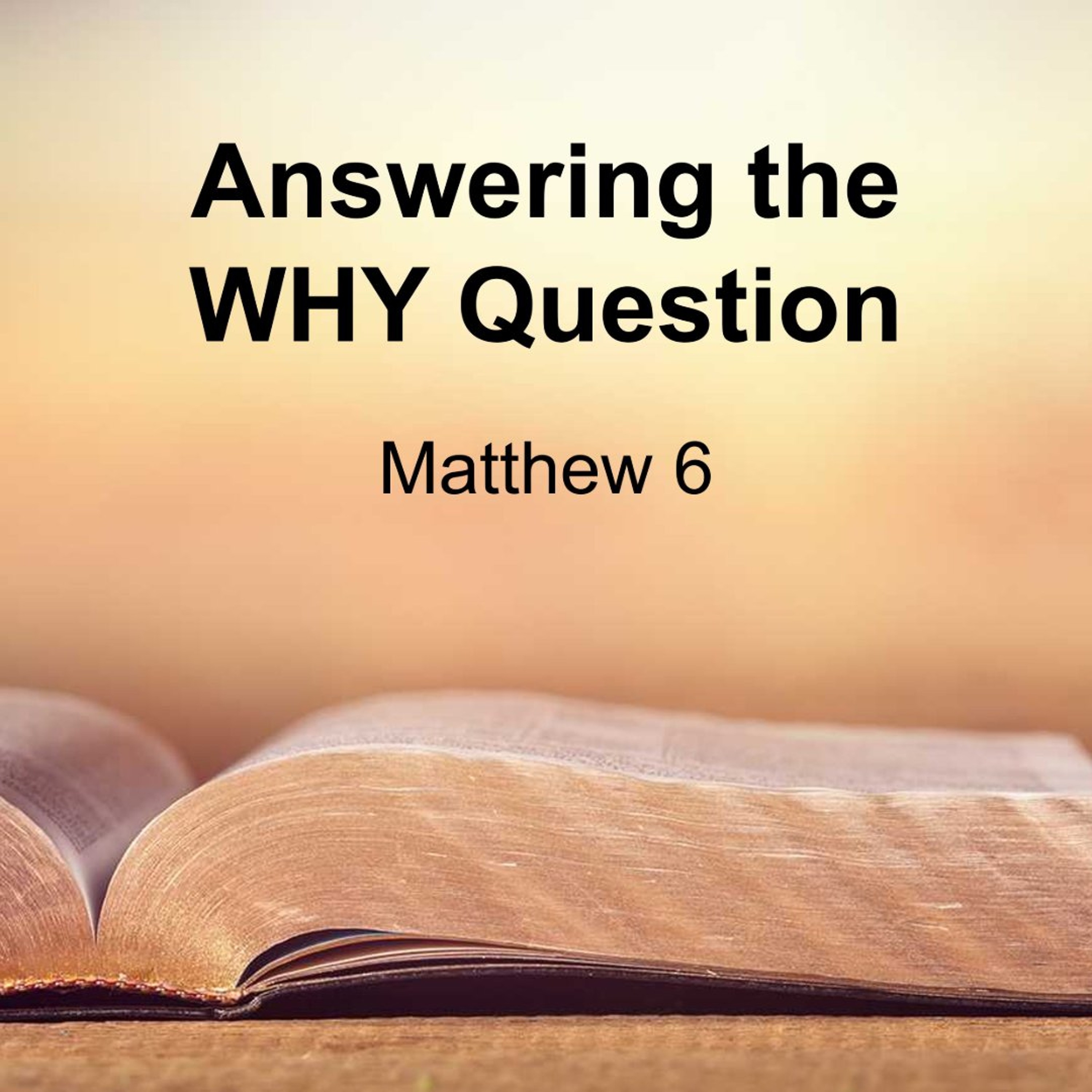 Answering the WHY Question episode artwork