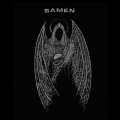 SAMEN - Into a Fly (demo unmix unmas)