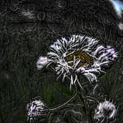 260107 - Jamuary26-7 - Unrest