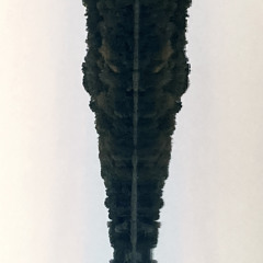 Gr.Grunow