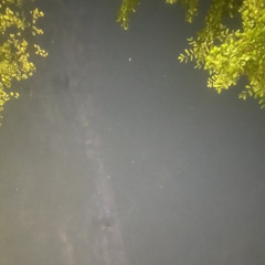 yea  /nowhere valley