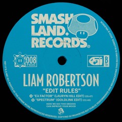 PREMIERE: Liam Robertson -  Spectrum (Goldlink Edit)