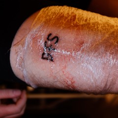 BFS MIX - WILLSCH MOL MOIN SCHWONZ SEH