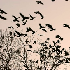 drippin so pretty - i don't know [slowed + reverb]