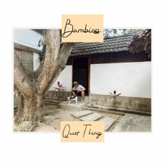 Bambioss - Quiet Nights [FREE DOWNLOAD]
