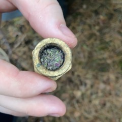 Mc jordaz Mc Shock Mc Flip