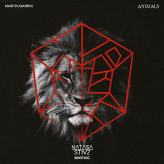 Martin Garrix - Animals (Natasa Stivz Bootleg)[FILTERED]