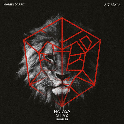 Martin Garrix - Animals (Natasa Stivz Bootleg)[FILTERED]