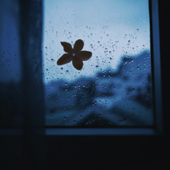 jasmine*