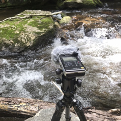 High Flow Creek Recording | Matthews Creek, SC
